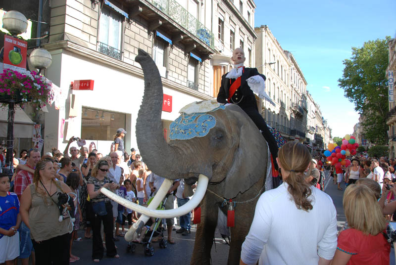 Louer un éléphant pour tourner un film