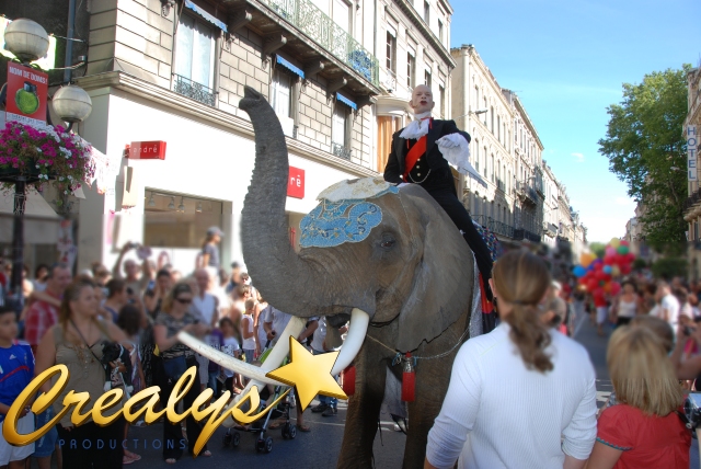 éléphant prestigieux pour vos festvités