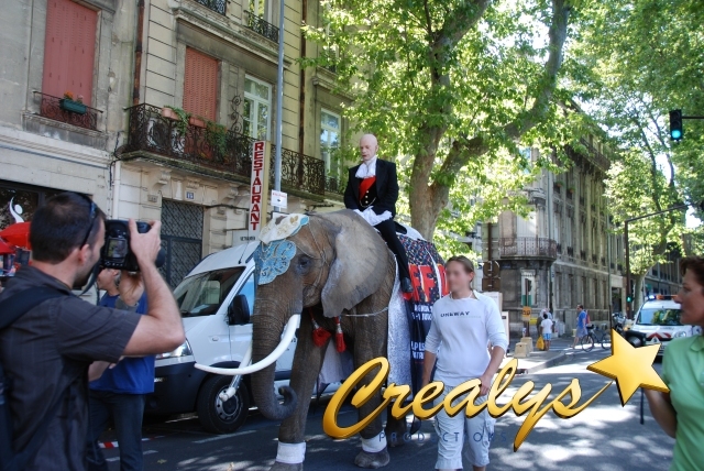 parade d'éléphant en ville